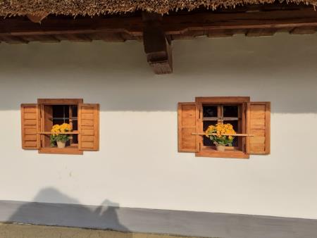 Resized_20220329_083938